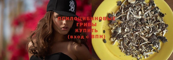 MDMA Premium VHQ Заводоуковск