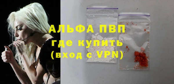 гидра Елизово