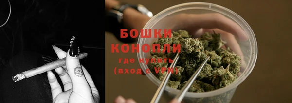 СК Заволжск