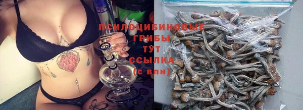 СК Заволжск