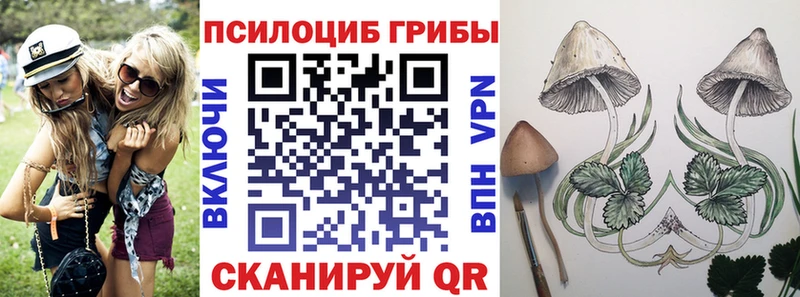 маркетплейс телеграм  Петухово  Галлюциногенные грибы Cubensis 